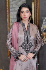 Nau Bahar - Image 3